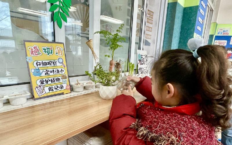17爱绿护绿在行动.jpg